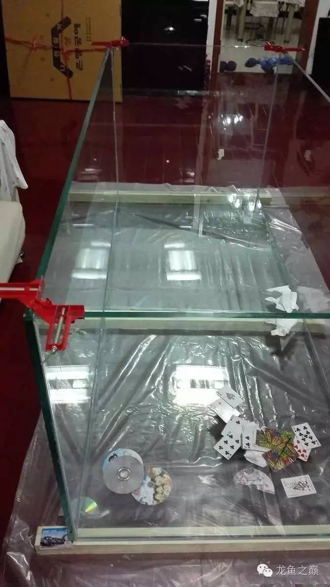 超级白，超会做，这才叫养鱼！