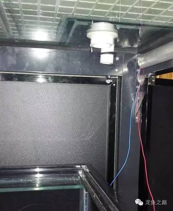 超级白，超会做，这才叫养鱼！