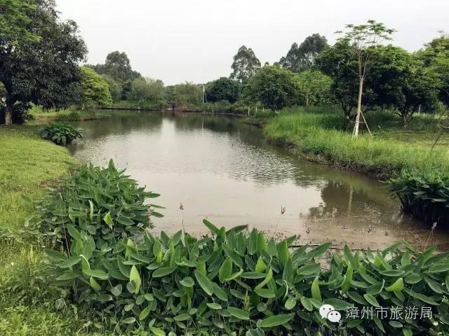 杭州西溪生态公园,西溪郊野公园好玩吗