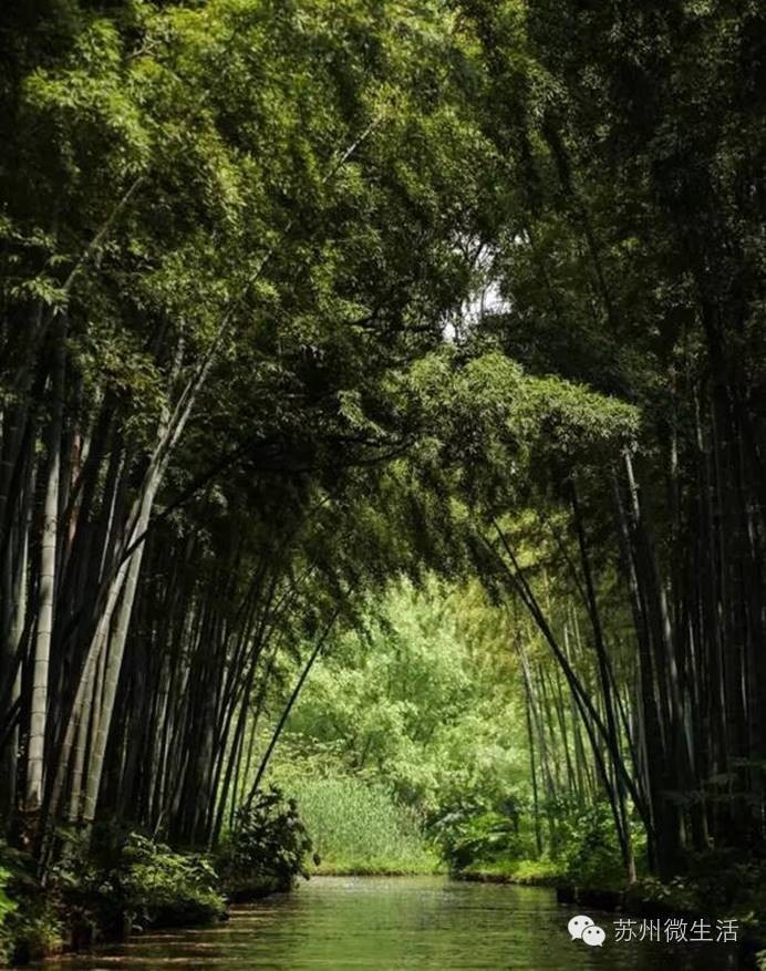 统统都免费！苏州免费福利最强整理，又公布了很多你不知道的