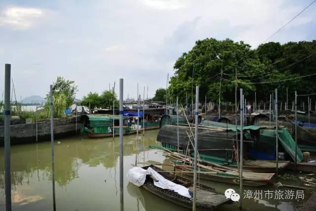 杭州西溪生态公园,西溪郊野公园好玩吗