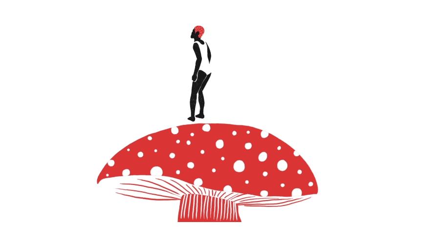 如果感到抑郁你就磕个菇!