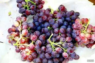 是不是正宗滨海人，一句话就能证明！