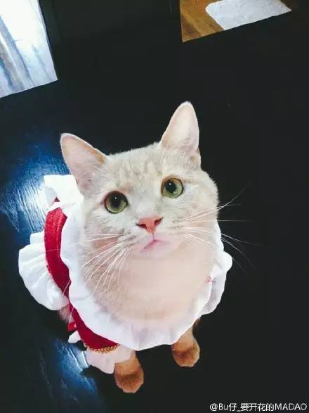 走到流浪的尽头,落入你的温暖怀抱