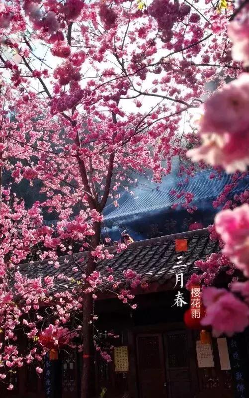 手机拍出的大片摄影作品,手机人像摄影作品欣赏大全集