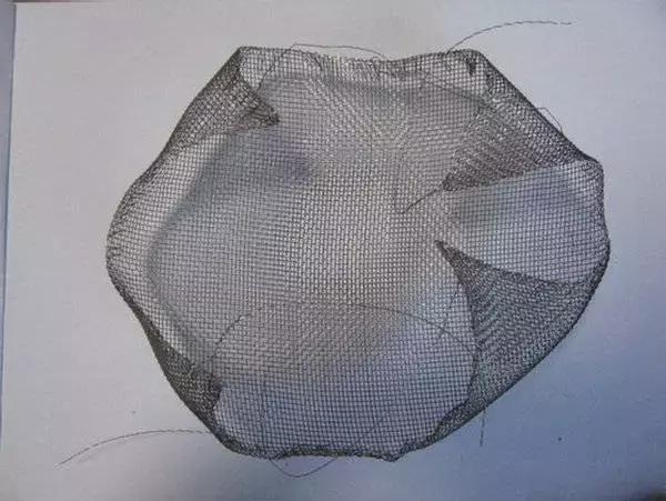 垂泪莫斯和三角莫斯火焰莫斯,莫斯水草球做法