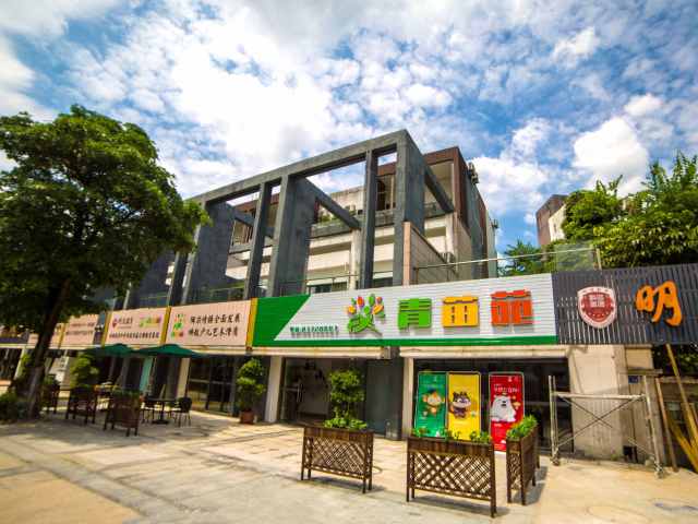 明德教育培训学校怎么样,明德教育辅导课程