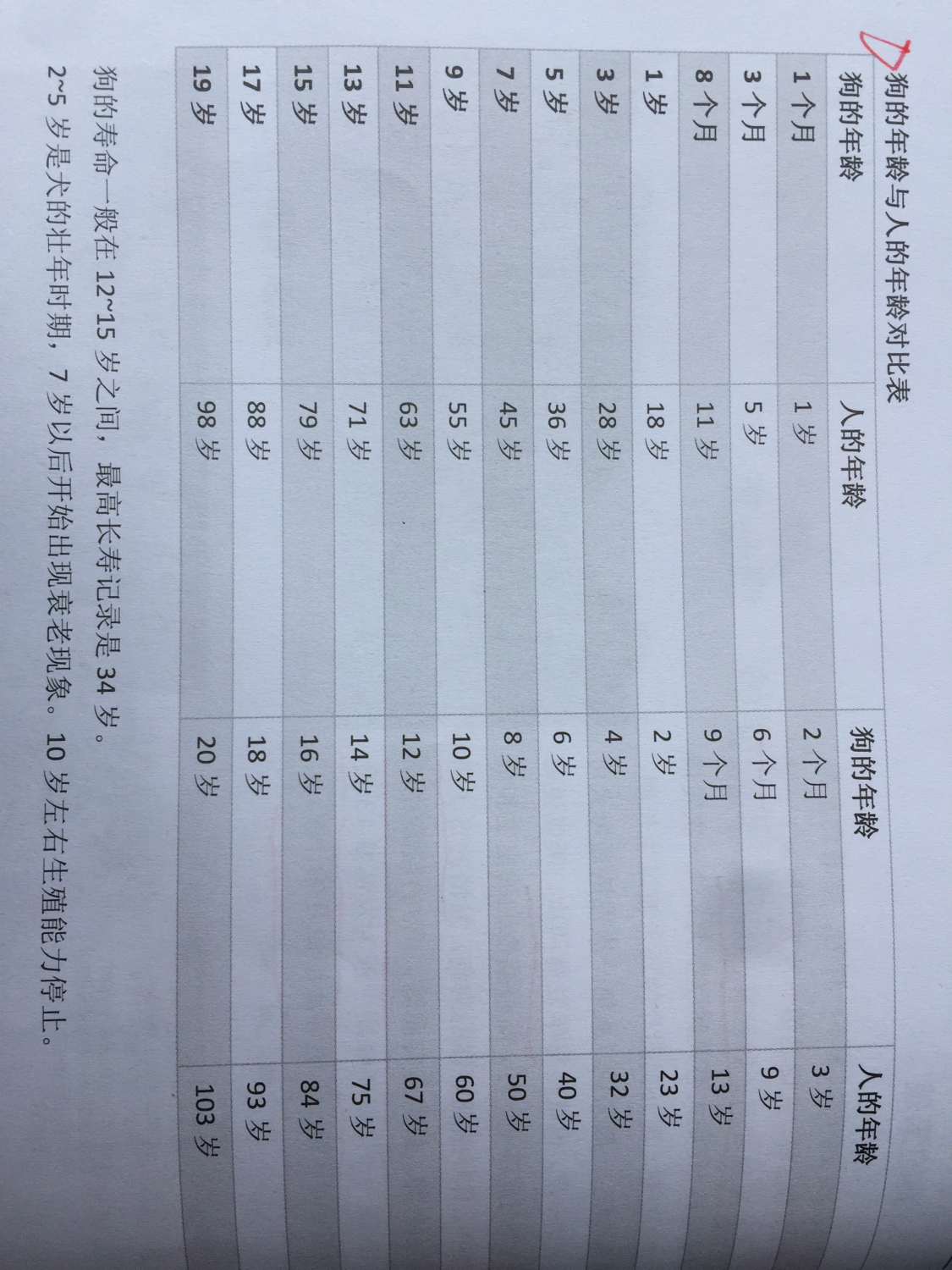 狗的生肖和年份对照表,狗的生长周期