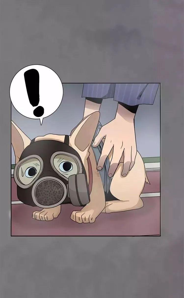 猫和铲屎官的日常生活漫画,铲屎官的搞笑漫画