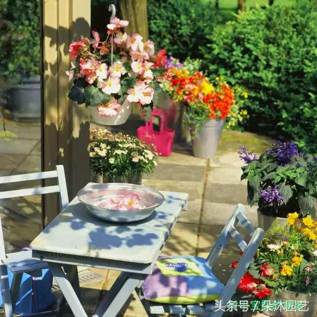 园艺插花容器,容器家庭园艺