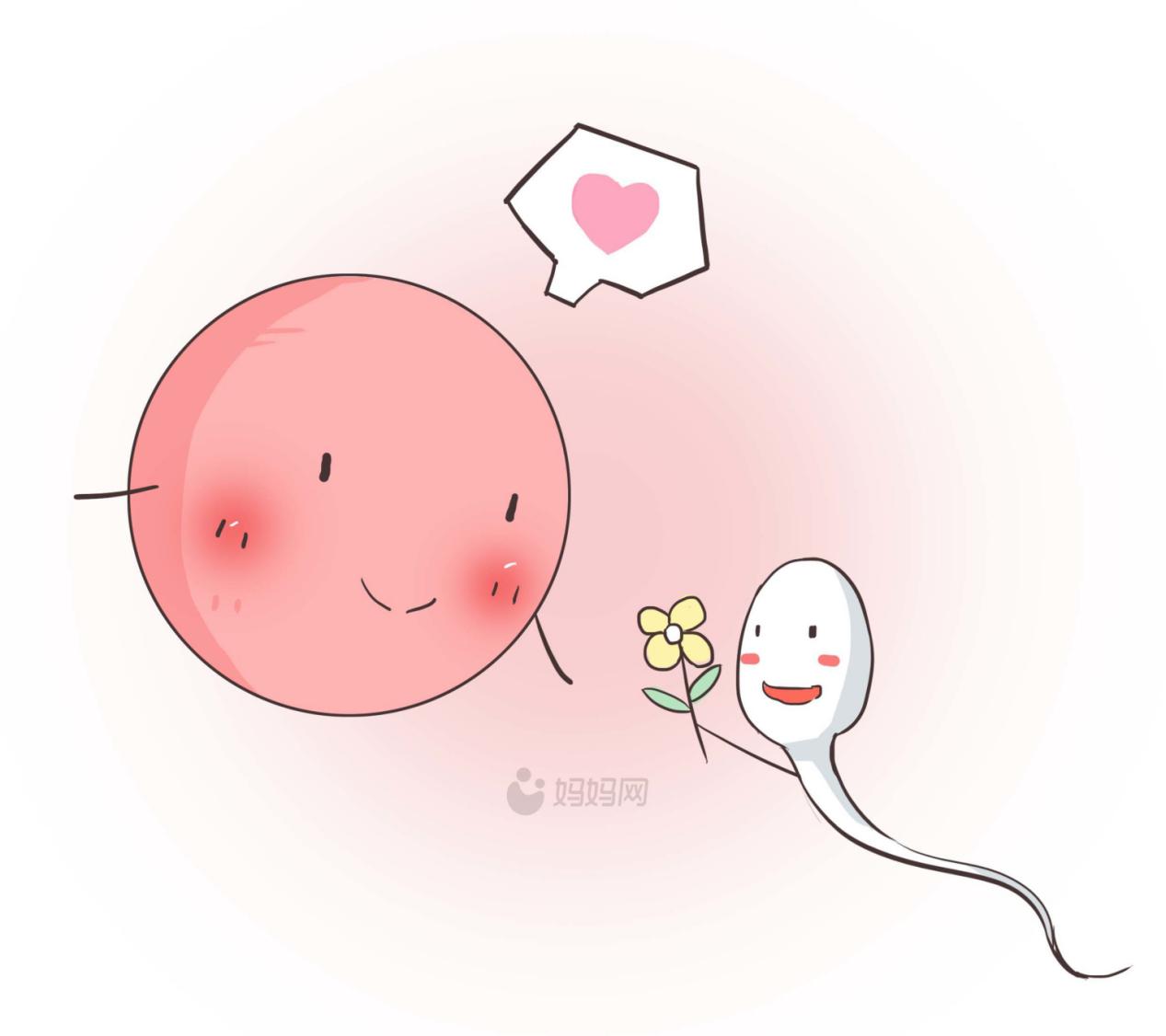 科学备孕指南视频教程全集,备孕大半年都没怀上要做什么检查