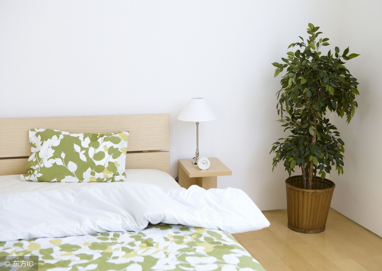 卧室风水十大绝招套路,卧室安床的风水禁忌