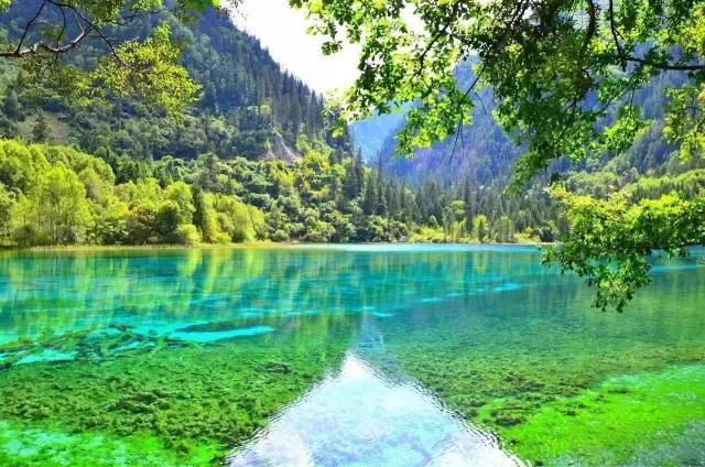 九寨沟震后形成新景观,人间仙境九寨沟震后依然山清水秀