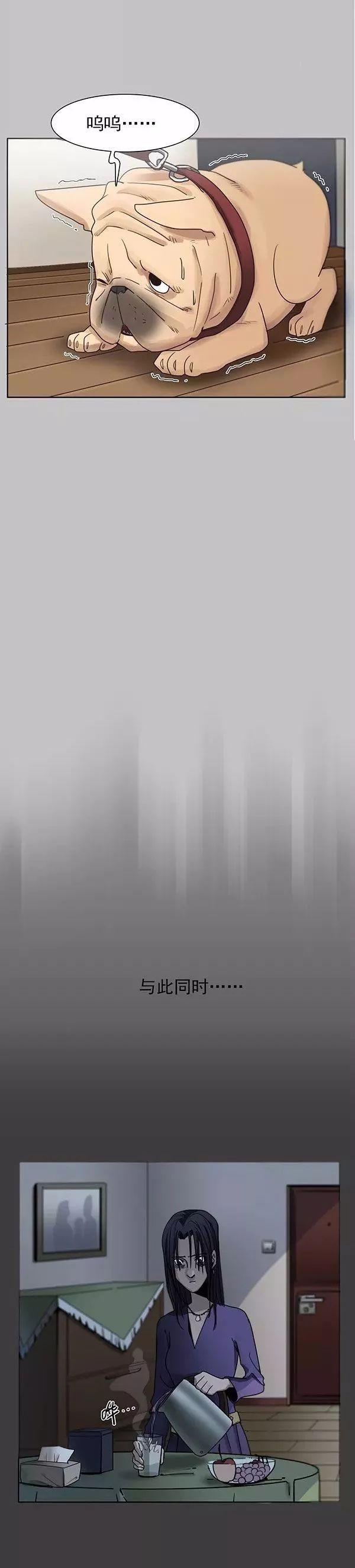 猫和铲屎官的日常生活漫画,铲屎官的搞笑漫画