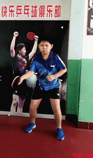 乒乓球系统训练计划明细表,乒乓球基础教练教学书籍