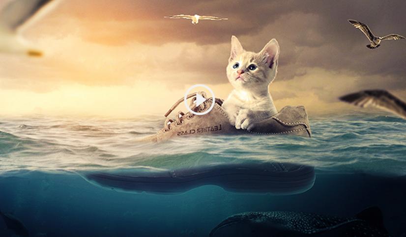 ps合成小孩猫咪海报,ps工具小猫插画怎么做