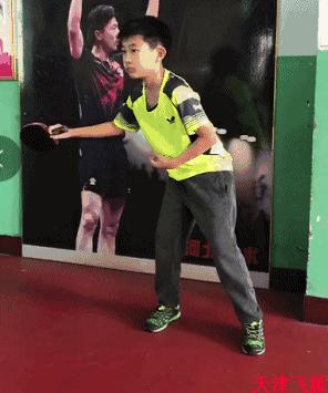 乒乓球系统训练计划明细表,乒乓球基础教练教学书籍