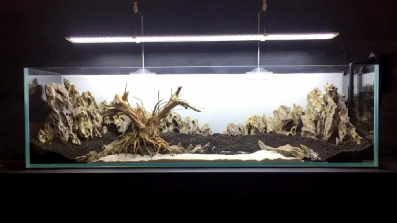 鱼缸微景观的方法和技巧,桌面鱼缸造景新手教程