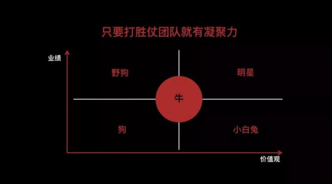 马云：兔子对公司危害更大