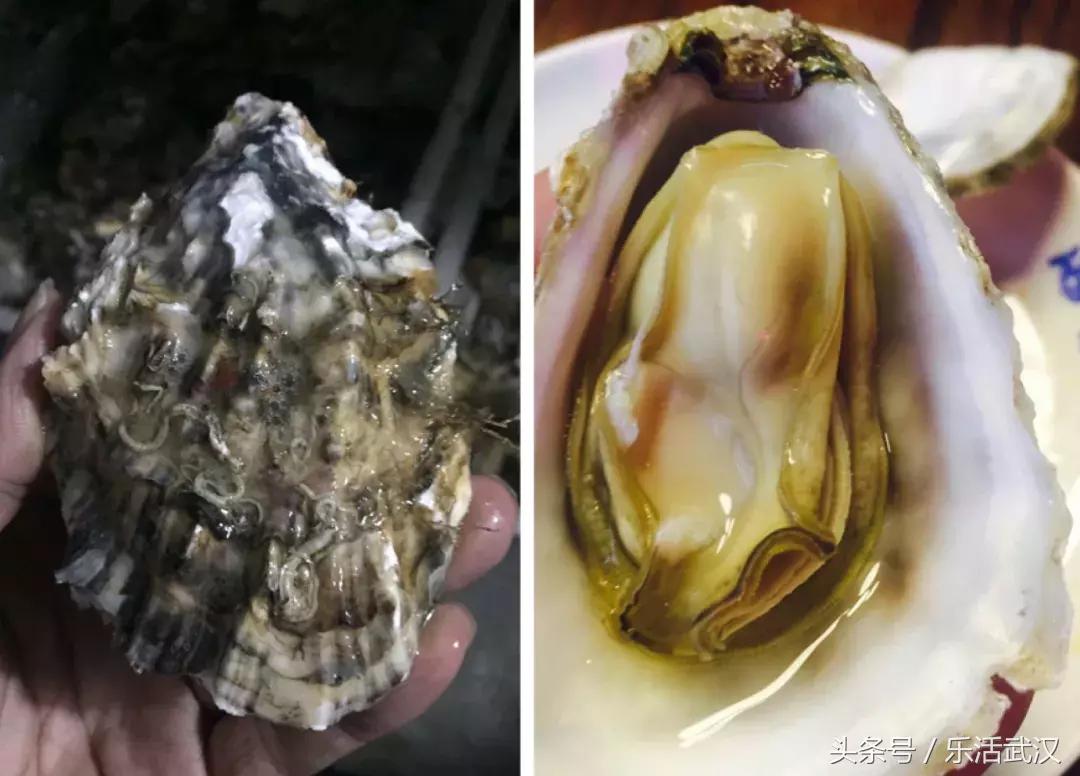 武汉最值得人多去的餐厅,武汉最会吃的人