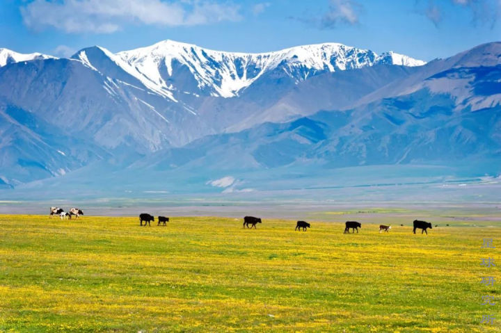 伊犁这个偏远的西部城市,新疆伊犁市靠近哪个位置