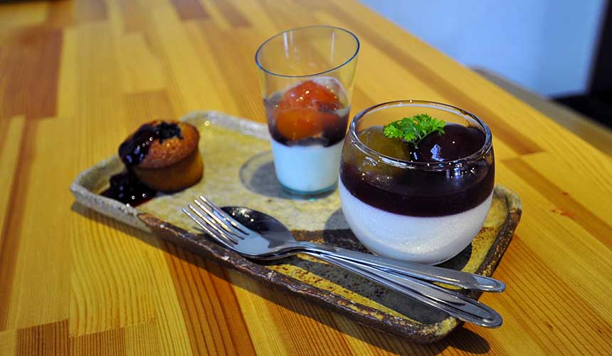 旅游熊本,熊本旅游攻略孩子