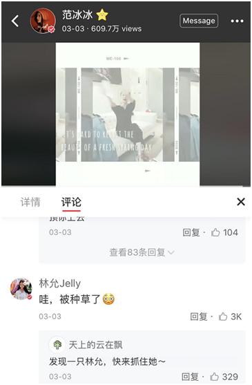 范冰冰小红书黑芝麻,范冰冰小红书帆布鞋