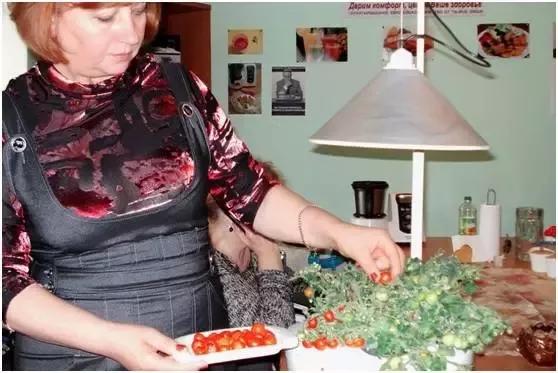 妈！咱家菜园里的鸡蛋发芽了