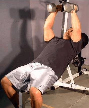 徒手健身哑铃视频,哑铃动作图解教你健身