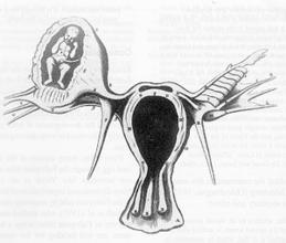 当baby面对镜头时,当baby玩密室逃脱