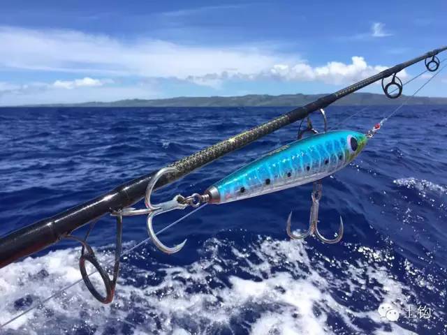 在荒蛮的世界尽头追猎“怪物”