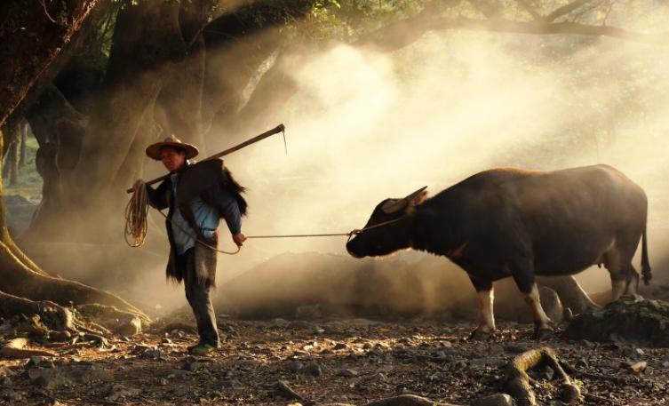 学词根，掌握一类词5：rus,rur=country（乡村）