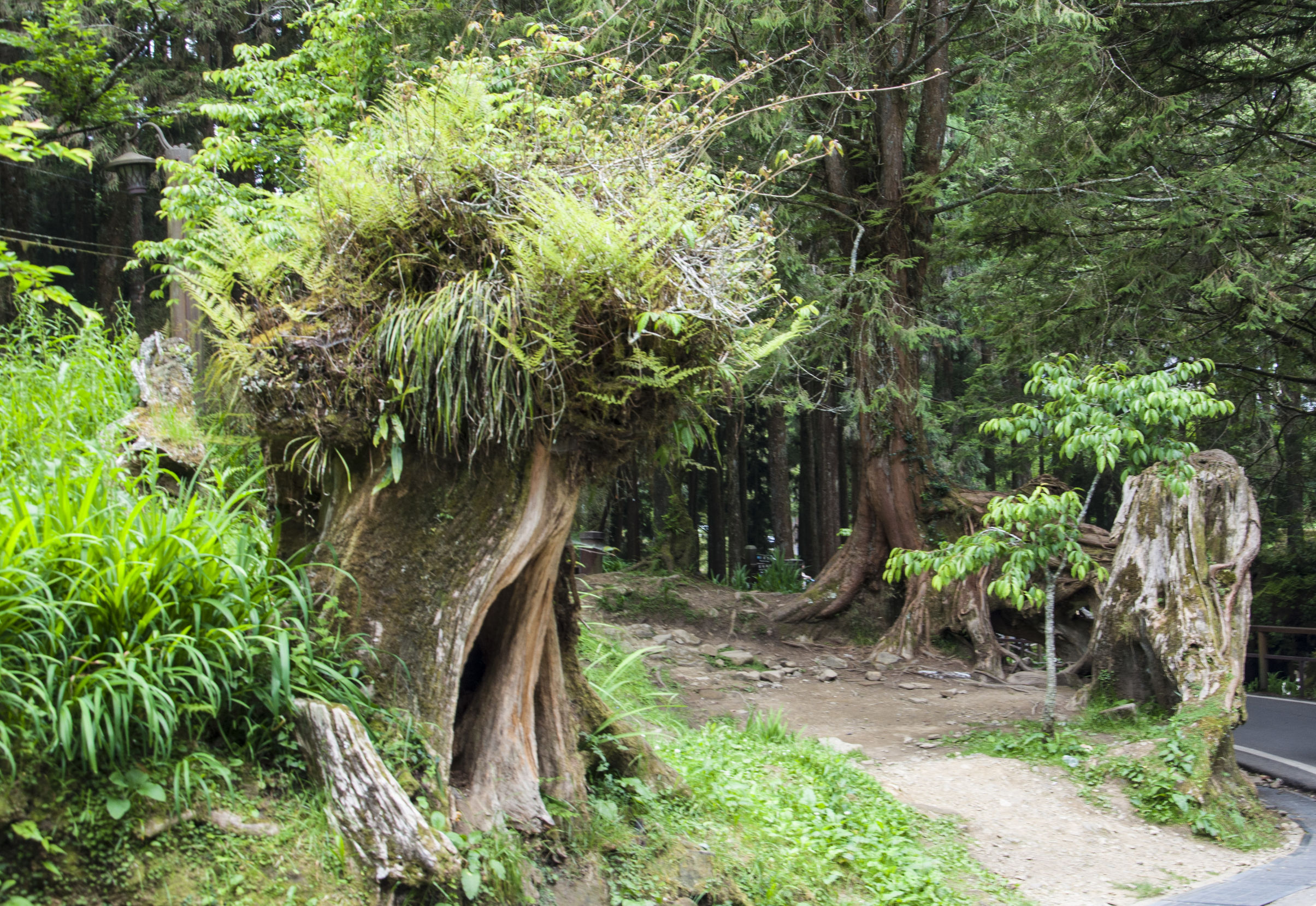台湾印象图片,台湾印象之日月潭