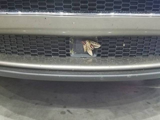 开车不用脚小心死翘翘！扒一扒ACC的那些“天生的缺陷”吧！