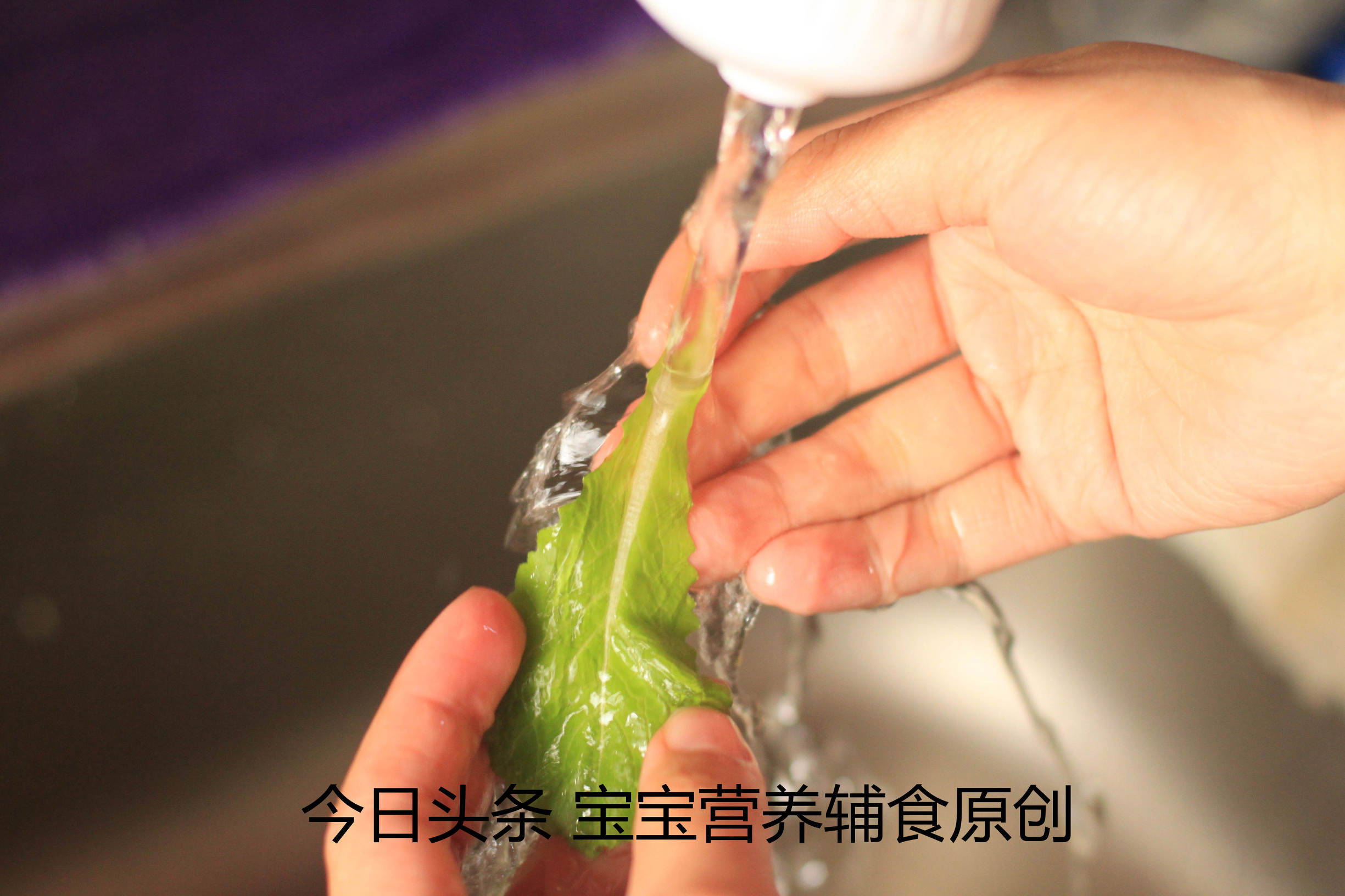 宝宝适合吃的青菜泥,不爱吃青菜宝宝辅食