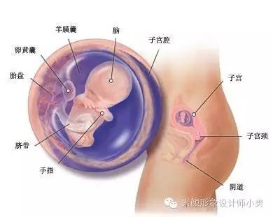 孕育小课堂,孕育学堂