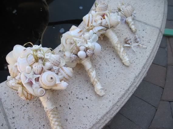 贝壳海洋工艺品摆件,贝壳工艺品叫什么