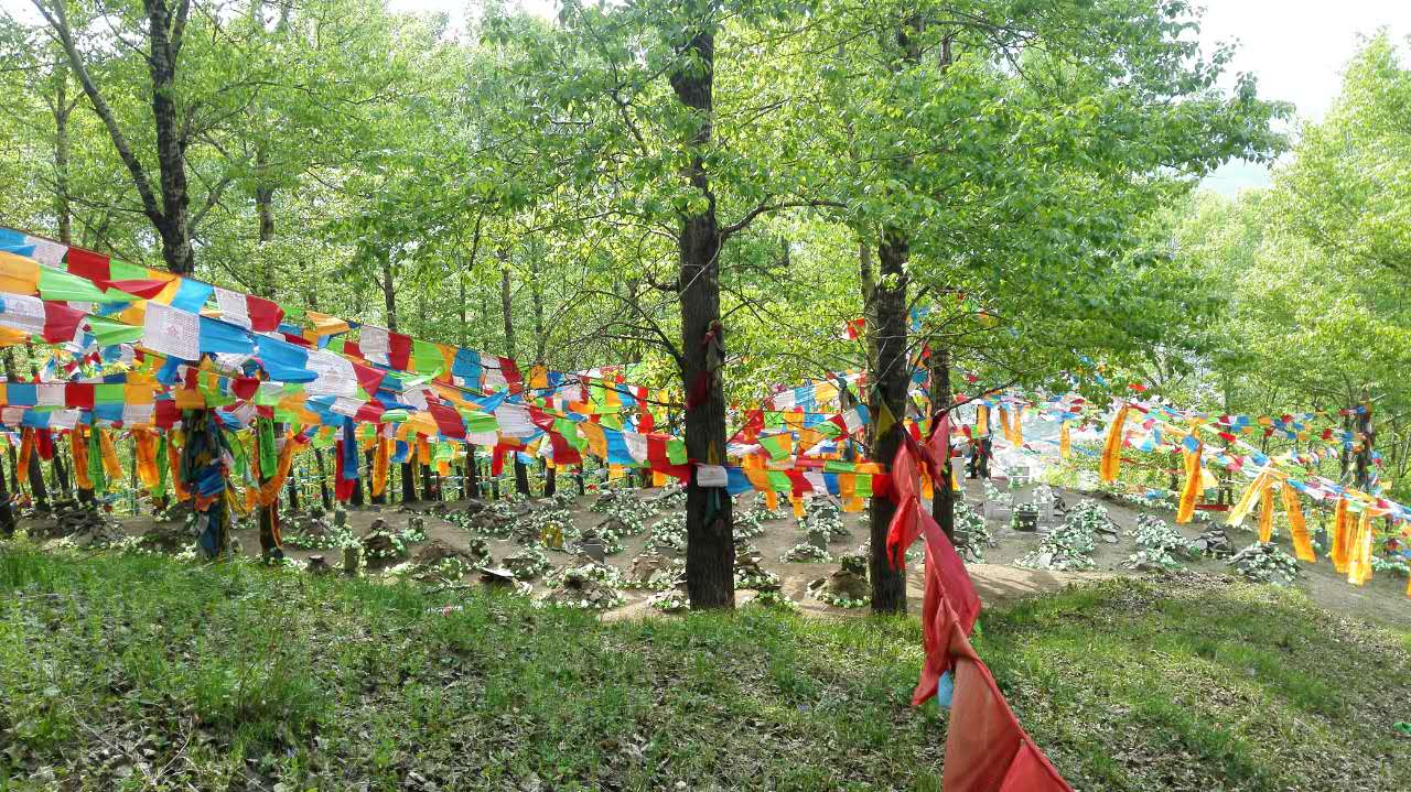 清凉尸林五台山,清凉尸陀林