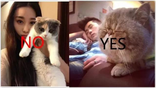 如何使用微信找外国男友,如何在微信上找到单身男朋友