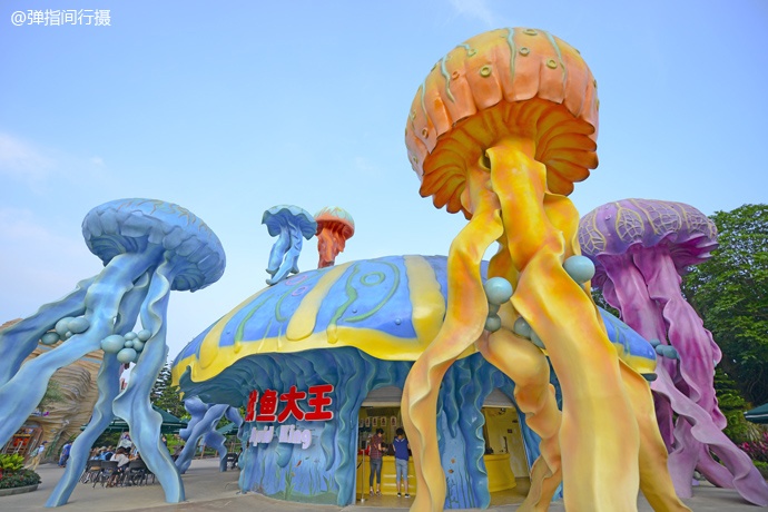 珠海长隆旅游攻略和住宿,珠海长隆周末有什么活动