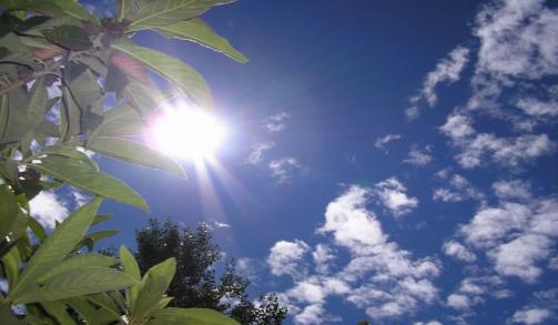 怎么修复抽烟损害的身体,吸烟把肺熏黑了能恢复吗