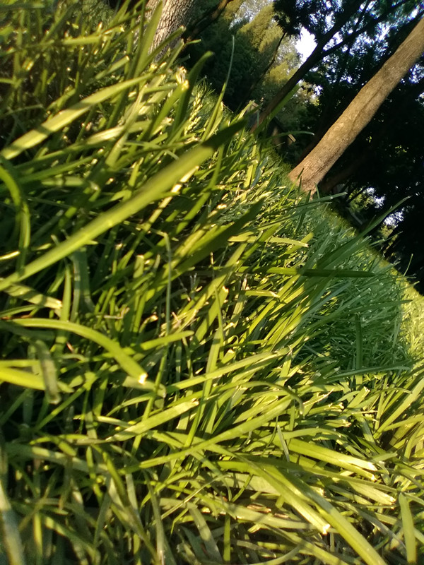 中国移动a2手机配置价格,中国移动发布手机性能测评