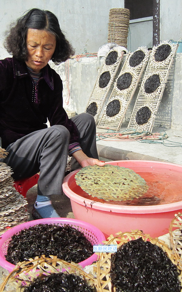 潮汕紫菜有多厉害,紫菜到底好不好