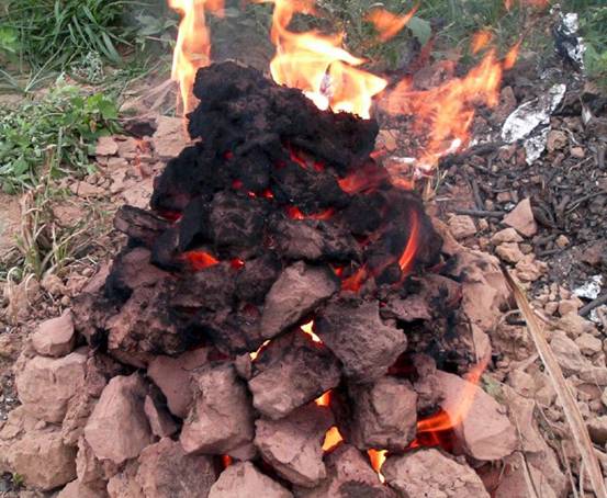 南宁附近的农家乐有哪些,南宁陈家大院农家乐大全