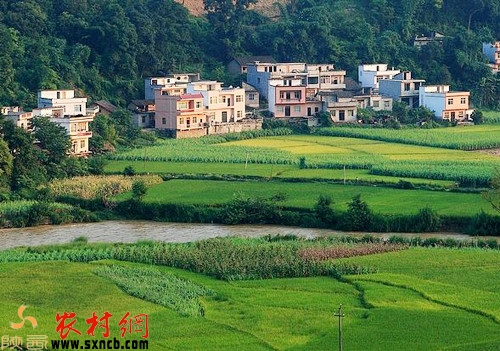 农村4个致富项目,农村致富有这4个项目就足够了