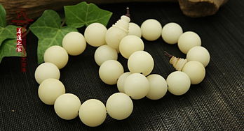 比较大的菩提,你认识多少种野果