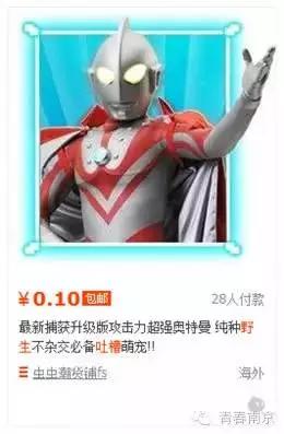 网购“活体葫芦娃”被骗36万！大深山里真的有好多野生宝贝