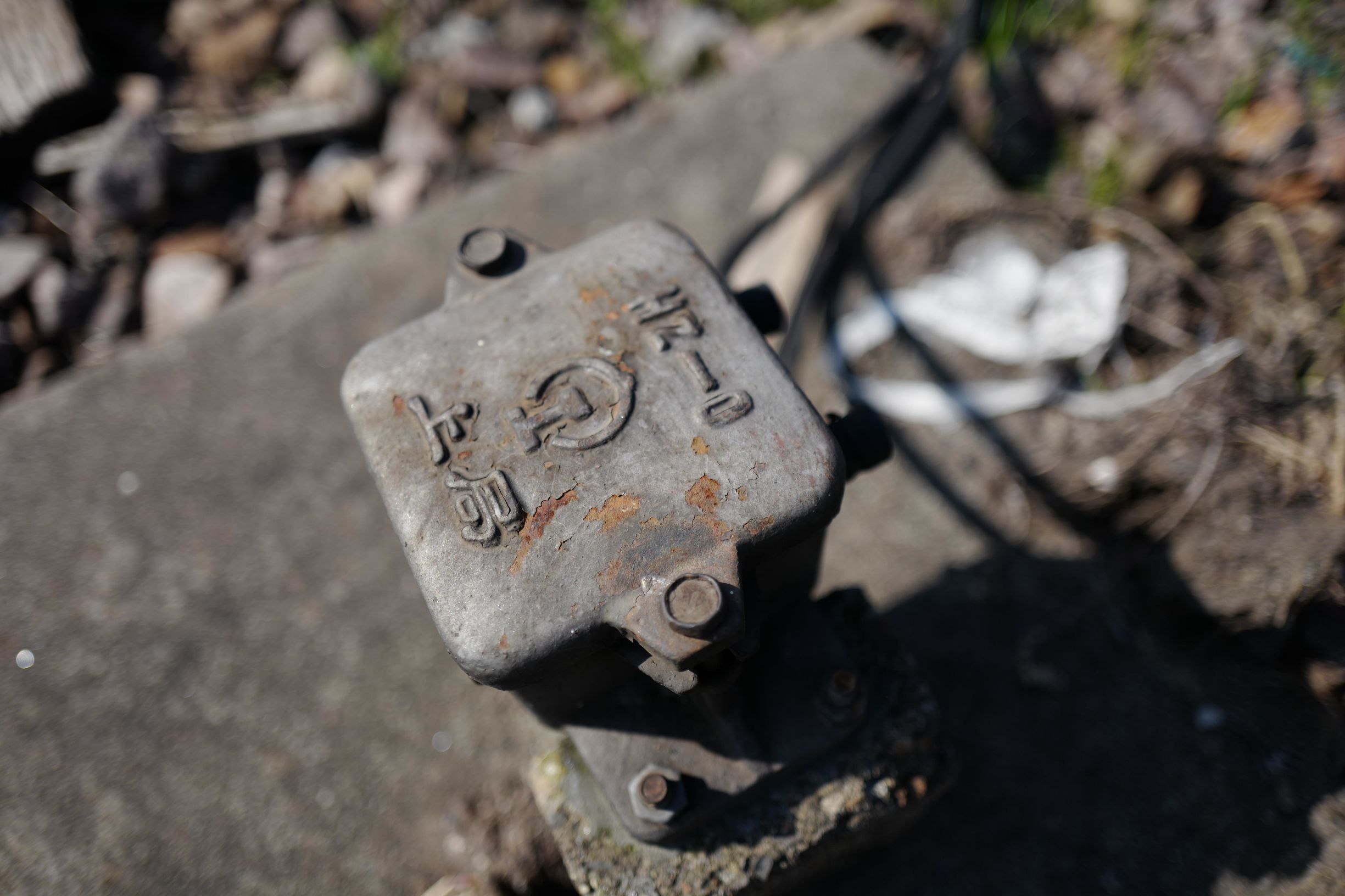 这才是德味-LeicaQ一个月使用报告