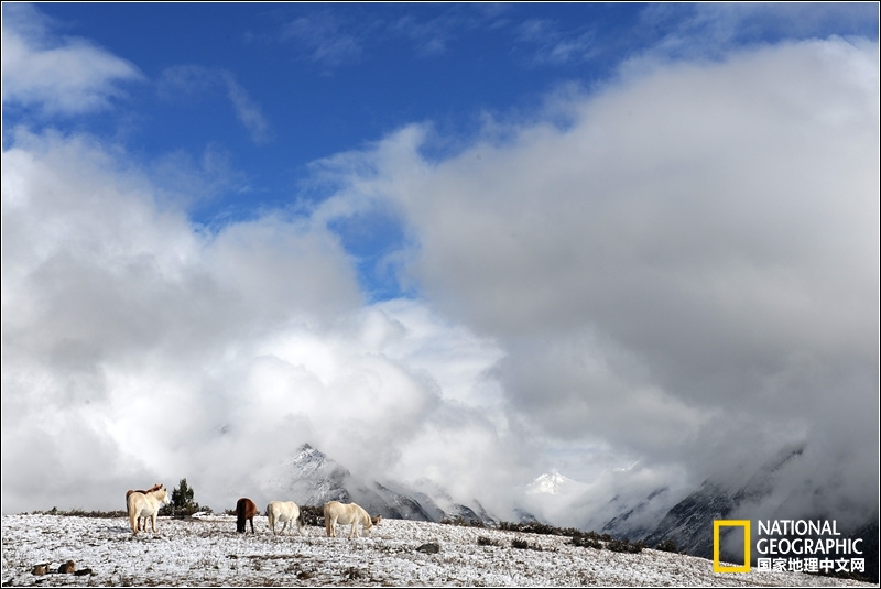 格聂转山攻略详解,四川格聂转山最新攻略