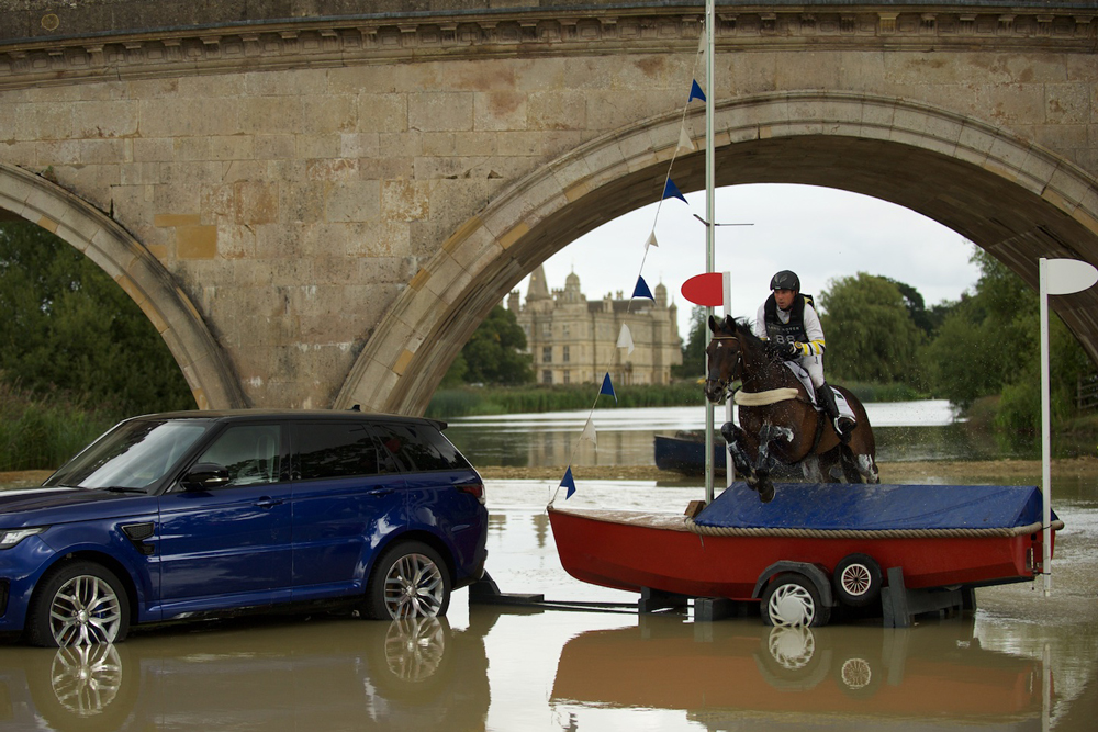 马术需要注意几个误区,观赏马有哪些